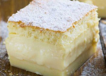 Biskuit-Puddingkuchen Rezept