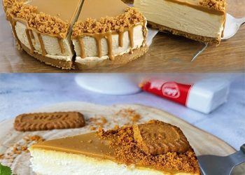 Blitz Käsekuchen ohne Backen, ich bin süchtig danach geworden!