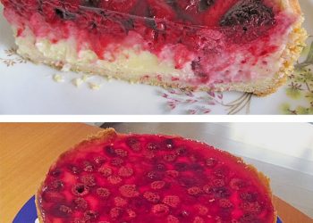 Sinas leckerer Himbeerpuddingkuchen