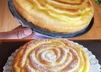 Apfelkuchen mit Vanillepudding, es schmilzt einfach im Mund