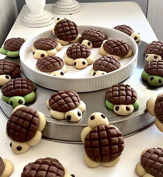 Meine süße Schildkröten – Kekse