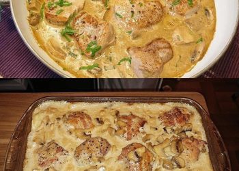 Medaillons in Pilzrahmsosse