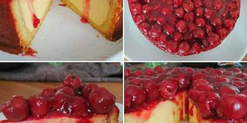 Käsekuchen mit Kirschen 