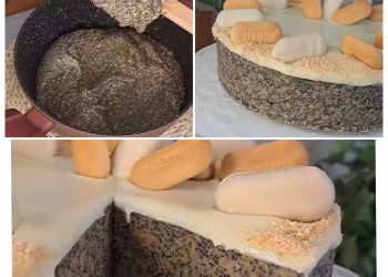 Mohnkuchen mit Keksen und weißer Schokolade: einfach Perfekt!