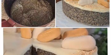 Mohnkuchen mit Keksen und weißer Schokolade: einfach Perfekt!
