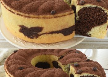 Tiramisu lecker Gugelhupf