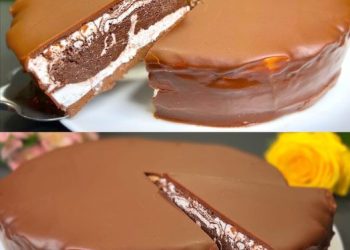 Das ist das Beste, was ich je gegessen habe, kein Frischkäse, kein Ofen, keine Kondensmilch!!!