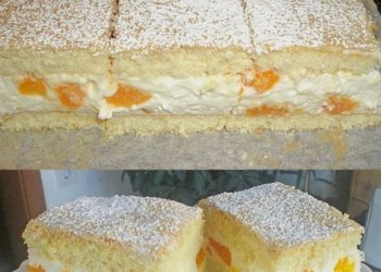 Mandarinen Quark Schnitten