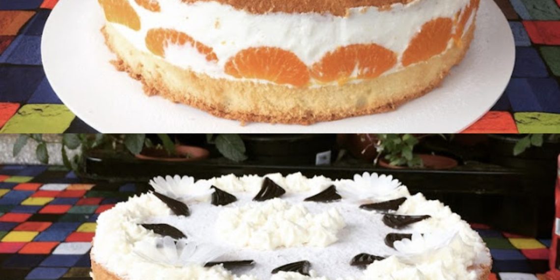 Käse Sahne Torte (Sehr schnell Zubereitet und schmeckt sehr Lecker)