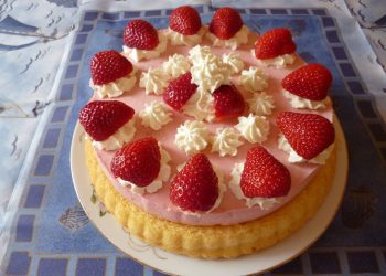 Blitz – Tortenboden – Einfach Nur Lecker