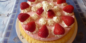 Blitz – Tortenboden – Einfach Nur Lecker