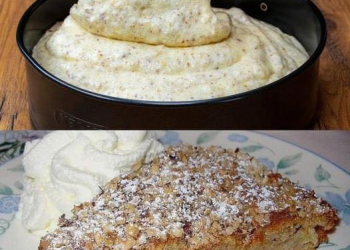 APFEL ZIMT NUSS KUCHEN