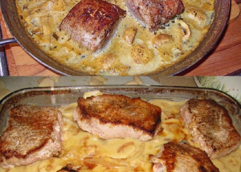 Filetbraten in Frischkäse Senfsauce