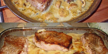Filetbraten in Frischkäse Senfsauce