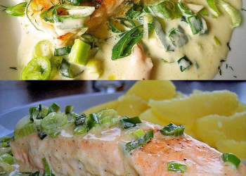 Lachs in Frühlingszwiebel Sahne Sauce