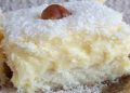 KOKOSKUCHEN MIT VANILLEPUDDING