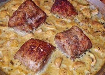  Filetbraten in Frischkäse Senfsauce