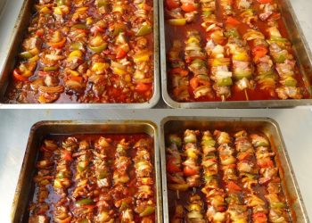 Fantastischer Schaschlik mit selbstgemachter Schaschliksoße