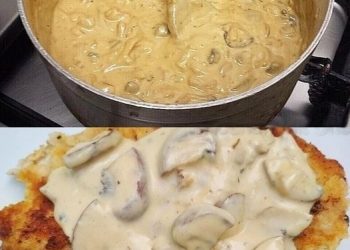 Jägersauce Schwarzwälder Art