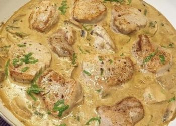 Medaillons in Pilzrahmsosse