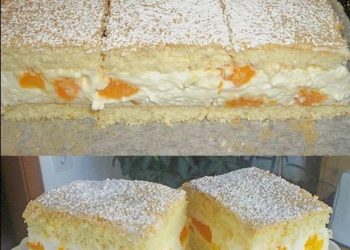 Mandarinen – Quark – Schnitten