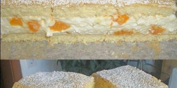 Mandarinen – Quark – Schnitten