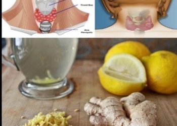 Ingwer Zitronenwasser kann dabei helfen, Gewicht zu verlieren