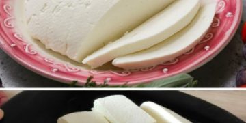 Hausgemachter Käse mit 1 Liter Milch, einer halben Zitrone und 1 Joghurt