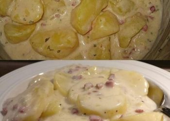 Bechamel – Kartoffeln