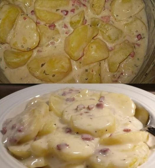 Bechamel – Kartoffeln