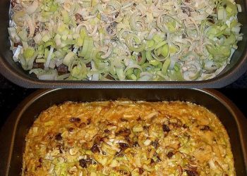 Eingelegte Schnitzel, saulecker 