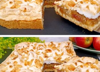 Was für ein guter Apfelkuchen! In wenigen Minuten ist es fertig