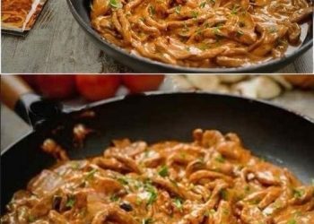 SCHNITZELSTREIFEN IN SENFSAHNESOSSE, SCHNELLES ABENDESSEN !