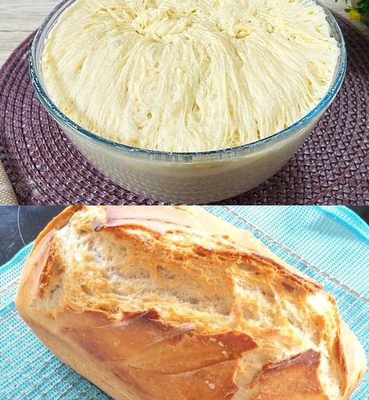 Superschnelles Friss dich dumm Brot in 5 Minuten, ich kaufe nie wieder