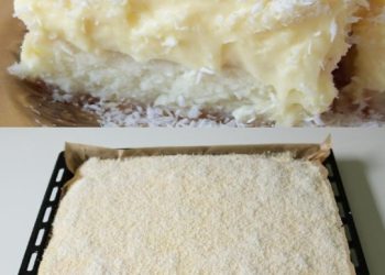 KOKOSKUCHEN MIT VANILLEPUDDING, Boahh ein Traum! 