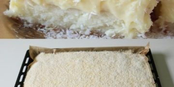 KOKOSKUCHEN MIT VANILLEPUDDING, Boahh ein Traum! 