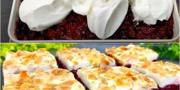 So einen leckeren Kuchen habe ich noch nie gegessen – Einfaches und leckeres Rezept