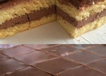 Einfache pudding wurfel