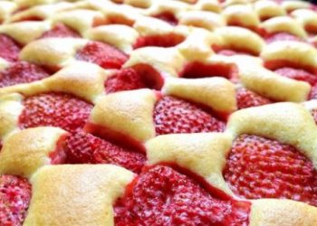 Erdbeer Biskuitkuchen