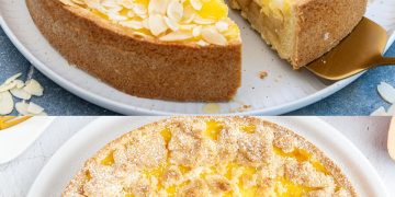 Apfelkuchen mit Vanillepudding