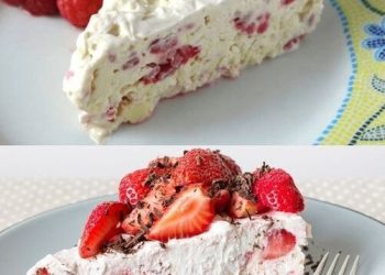 Ein wahrer Traum, soooo lecker! – Himbeer Eistorte mit Frischkäse