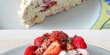 Ein wahrer Traum, soooo lecker! – Himbeer Eistorte mit Frischkäse 