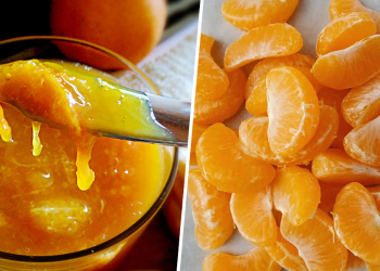 So bereiten Sie zuckerfreie Mandarinenmarmelade zu: einfach, lecker und nahrhaft