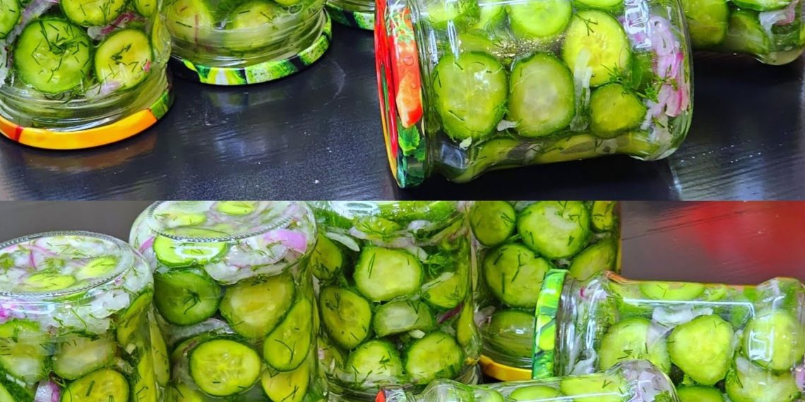 Ein Vorgeschmack auf Georgia: So konservieren Sie Wintergurken ohne Einlegen