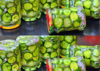 Ein Vorgeschmack auf Georgia: So konservieren Sie Wintergurken ohne Einlegen