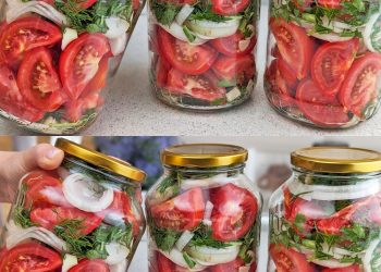 Tomaten, vergessen Sie den Essig: Nur wenn Sie sie so zubereiten, sind sie 1 Jahr haltbar | So lecker wie am ersten Tag