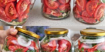 Tomaten, vergessen Sie den Essig: Nur wenn Sie sie so zubereiten, sind sie 1 Jahr haltbar | So lecker wie am ersten Tag