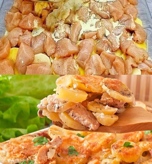 Hähnchen Kartoffel Gratin, könnte ich gerade jeden Tag essen!