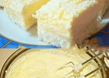 Fantastischer Kokoskuchen mit Vanillepudding in wenigen Minuten