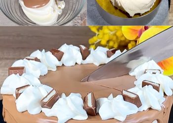 Schokoladen-Käsekuchen: das frische und cremige Dessert zum Probieren